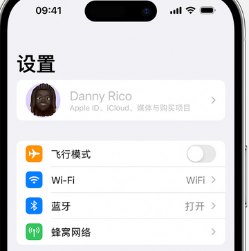 拖市镇appleID维修服务iPhone设置中Apple ID显示为灰色无法使用 