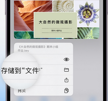 拖市镇apple维修中心分享iPhone文件应用中存储和找到下载文件