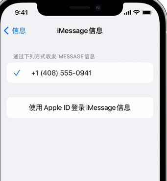 拖市镇apple维修iPhone上无法正常发送iMessage信息