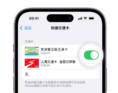 拖市镇apple维修点分享iPhone上更换Apple Pay快捷交通卡手绘卡面 