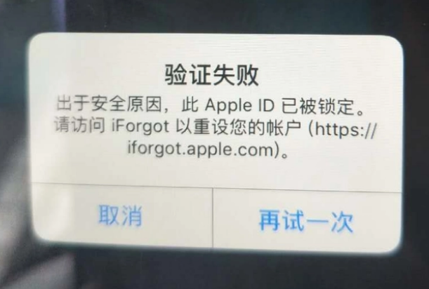 拖市镇iPhone维修分享iPhone上正常登录或使用AppleID怎么办 