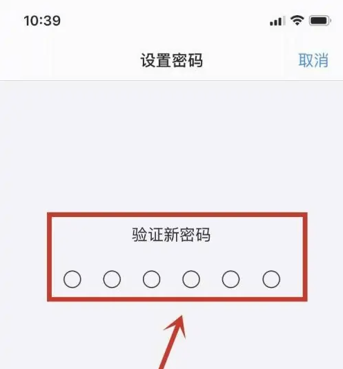 拖市镇苹果手机维修分享:如何安全的使用iPhone14？iPhone14解锁方法 