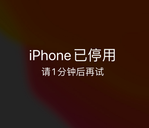 拖市镇苹果手机维修分享:iPhone 显示“不可用”或“已停用”怎么办？还能保留数据吗？ 