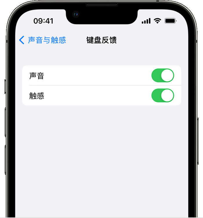 拖市镇苹果14维修店分享如何在 iPhone 14 机型中使用触感键盘 