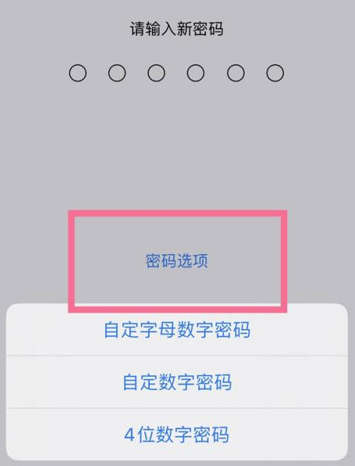 拖市镇苹果14维修分享iPhone 14plus设置密码的方法 