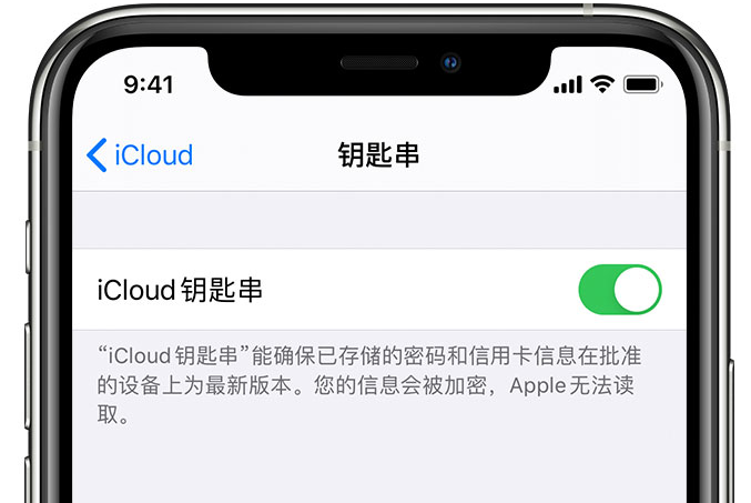 拖市镇苹果手机维修分享在 iPhone 上开启 iCloud 钥匙串之后会储存哪些信息 