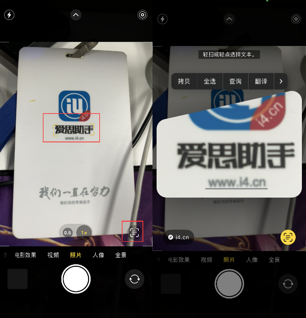 拖市镇苹果手机维修分享升级iOS 16后如何通过相机翻译文本 