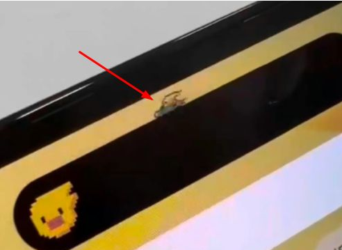 拖市镇苹果14维修分享iPhone 14 Pro Max灵动岛怎么养宠物 