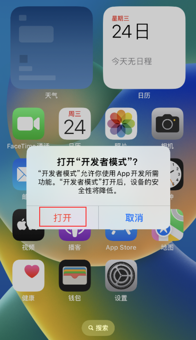 拖市镇苹果手机维修分享如何打开开发者模式 