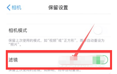 拖市镇苹果13维修分享iPhone13拍照有绿点是怎么回事 