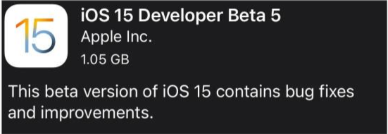 拖市镇苹果手机维修分享如何升级到iOS15.0 beta5 