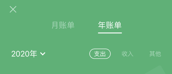 拖市镇苹果手机维修分享如何在 iPhone 上查看支付宝和微信年支出账单 